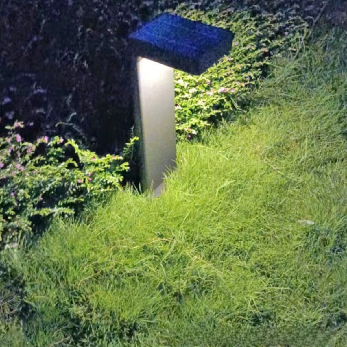 Solar Lawn Light